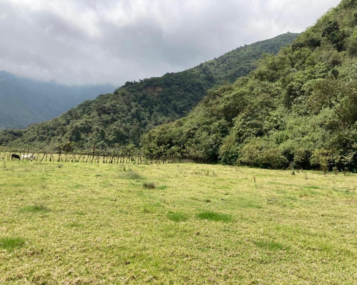 Cráter Pululahua - Terreno en Venta — imagen 8