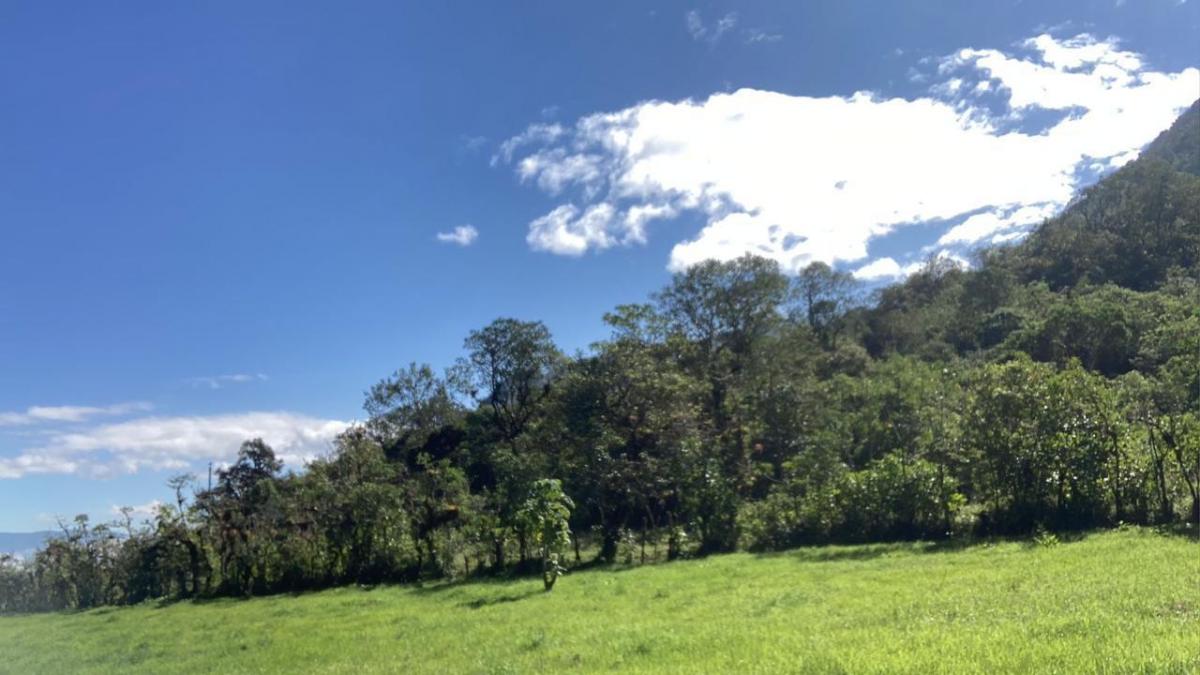 Cráter Pululahua - Terreno en Venta — imagen 6