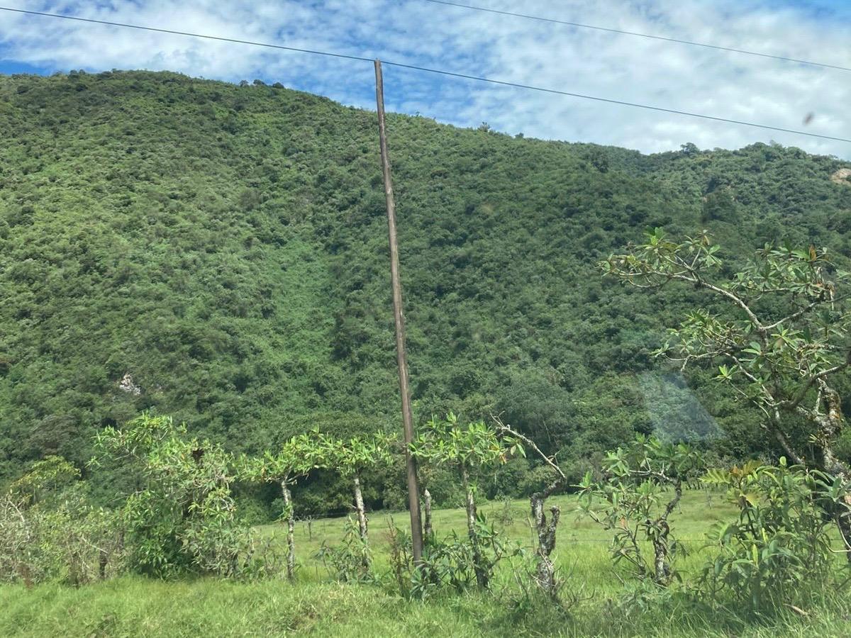 Cráter Pululahua - Terreno en Venta — imagen 2