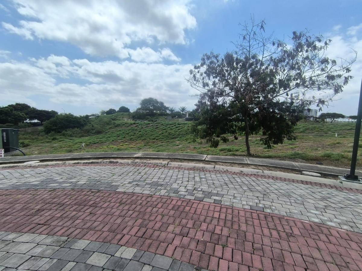 Terreno en Montecristi, Manabí — imagen 7