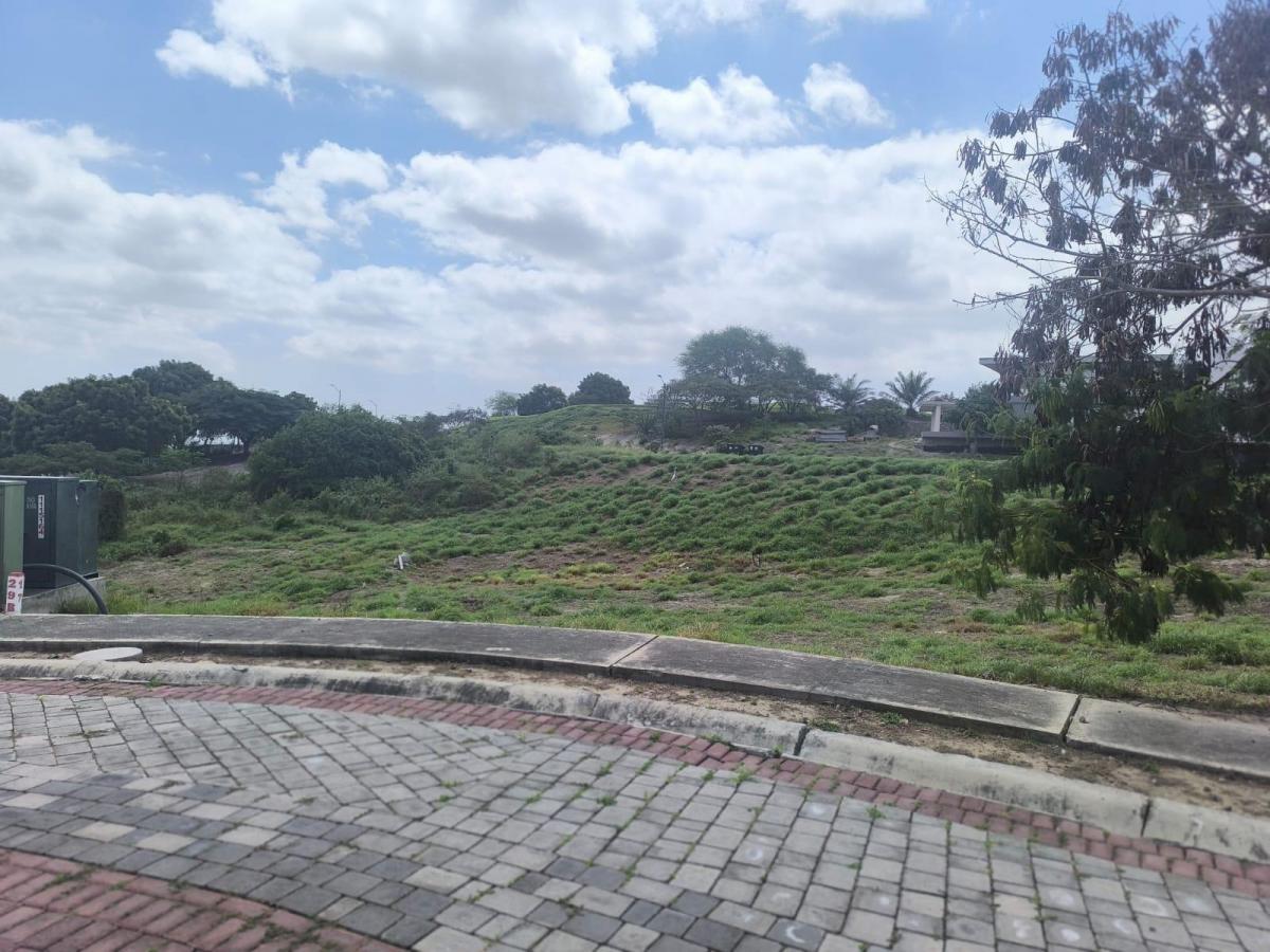 Terreno en Montecristi, Manabí — imagen 6