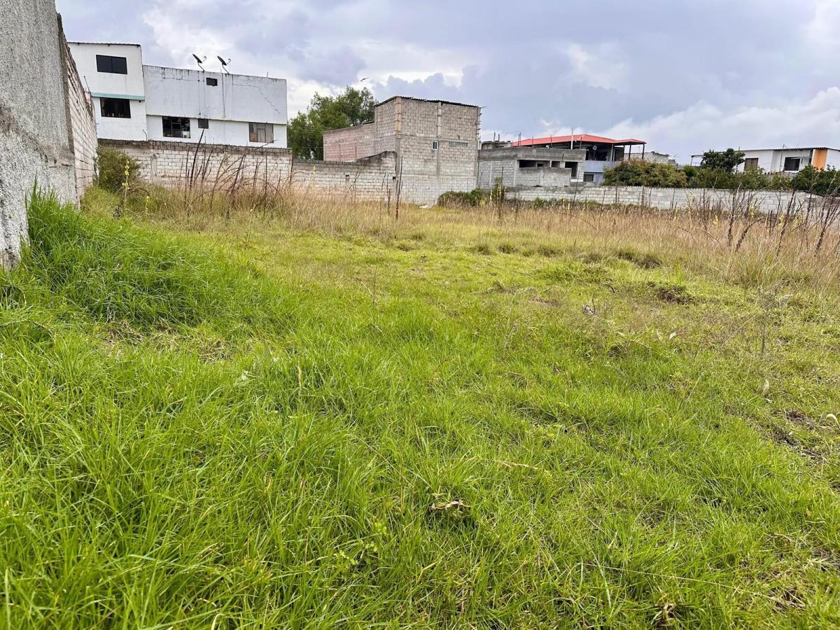 Terreno en Venta en Calderon Sector San Jose de Moran — imagen 9