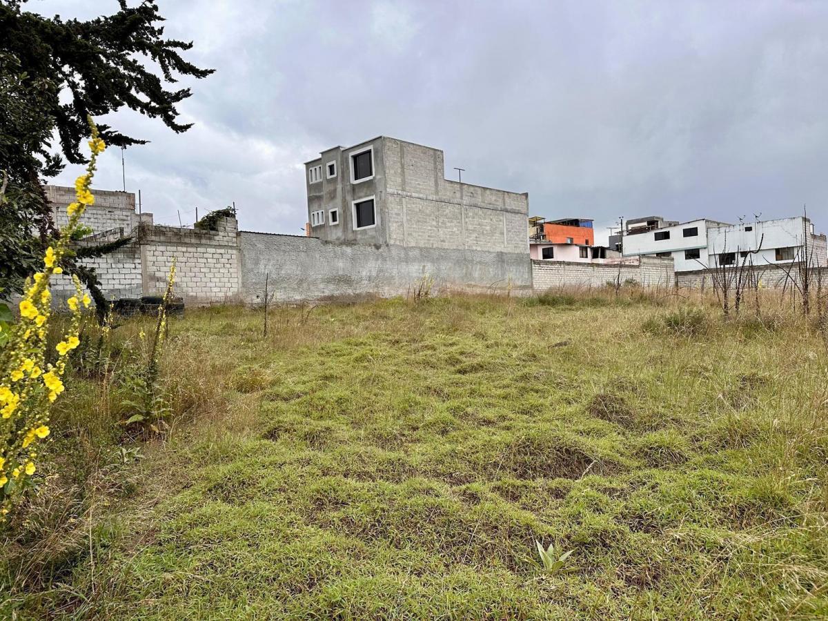 Terreno en Venta en Calderon Sector San Jose de Moran — imagen 8