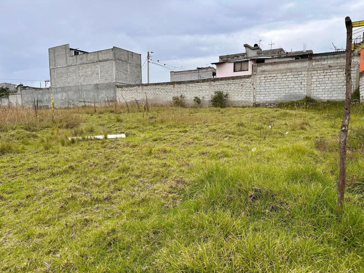 Terreno en Venta en Calderon Sector San Jose de Moran — imagen 7