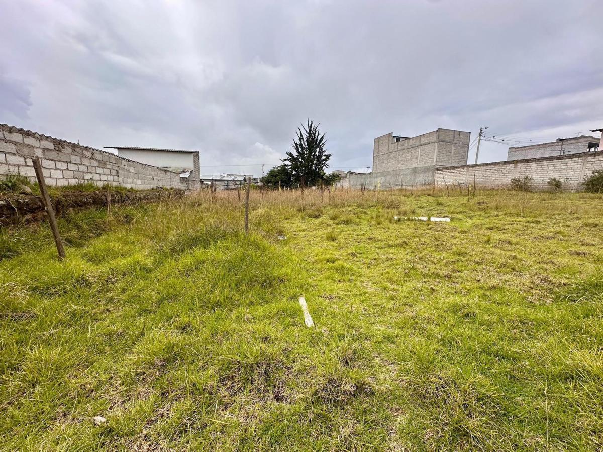 Terreno en Venta en Calderon Sector San Jose de Moran — imagen 6