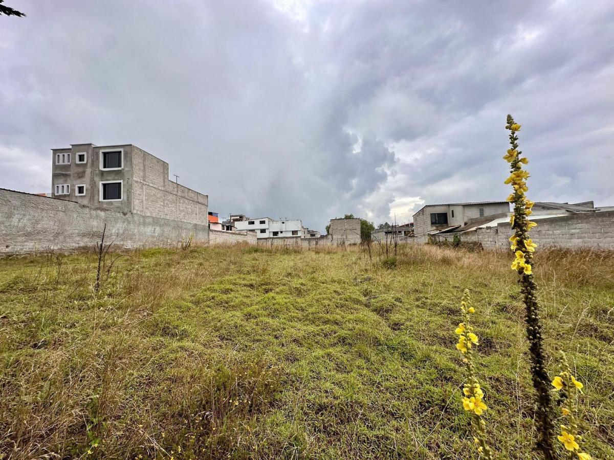 Terreno en Venta en Calderon Sector San Jose de Moran — imagen 2