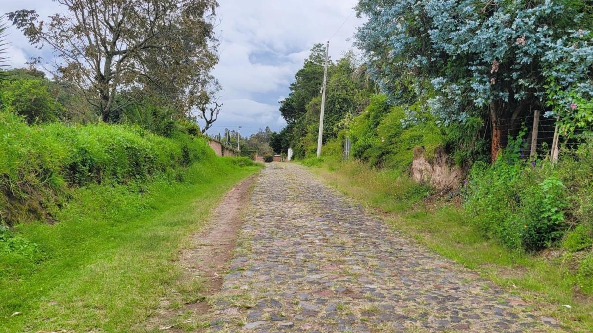 Venta Terreno 17.000 m² en Puembo, Factible Construir 5 Casas, con Regadío. Provincia de Pichincha — imagen 10