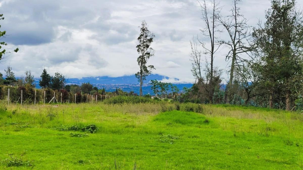 Venta Terreno 17.000 m² en Puembo, Factible Construir 5 Casas, con Regadío. Provincia de Pichincha — imagen 8