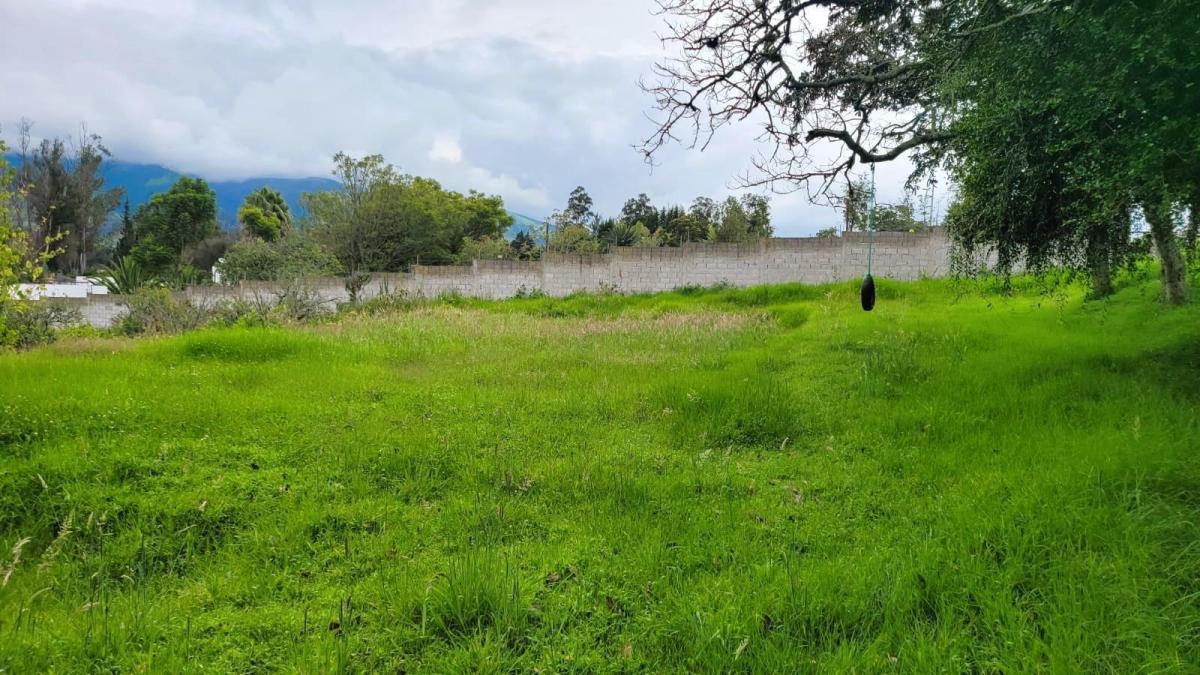 Venta Terreno 17.000 m² en Puembo, Factible Construir 5 Casas, con Regadío. Provincia de Pichincha — imagen 6
