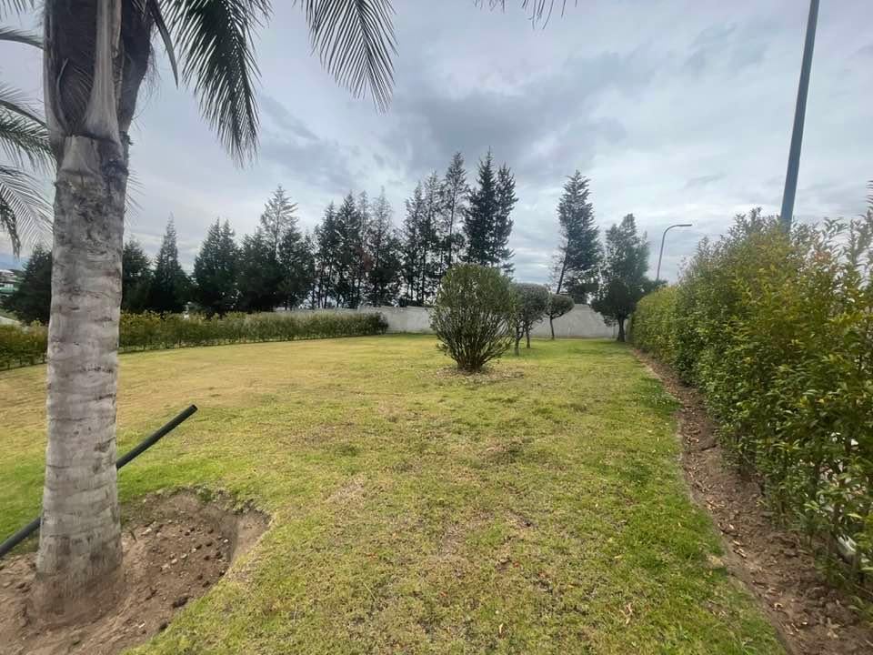 Venta Lotes Puembo - Urbanizacion Privada - Home Realtors By Monica Miranda — imagen 8