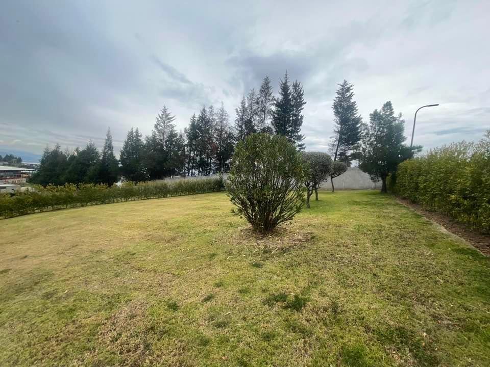 Venta Lotes Puembo - Urbanizacion Privada - Home Realtors By Monica Miranda — imagen 7