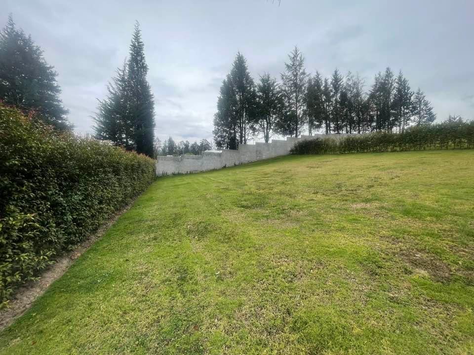 Venta Lotes Puembo - Urbanizacion Privada - Home Realtors By Monica Miranda — imagen 6
