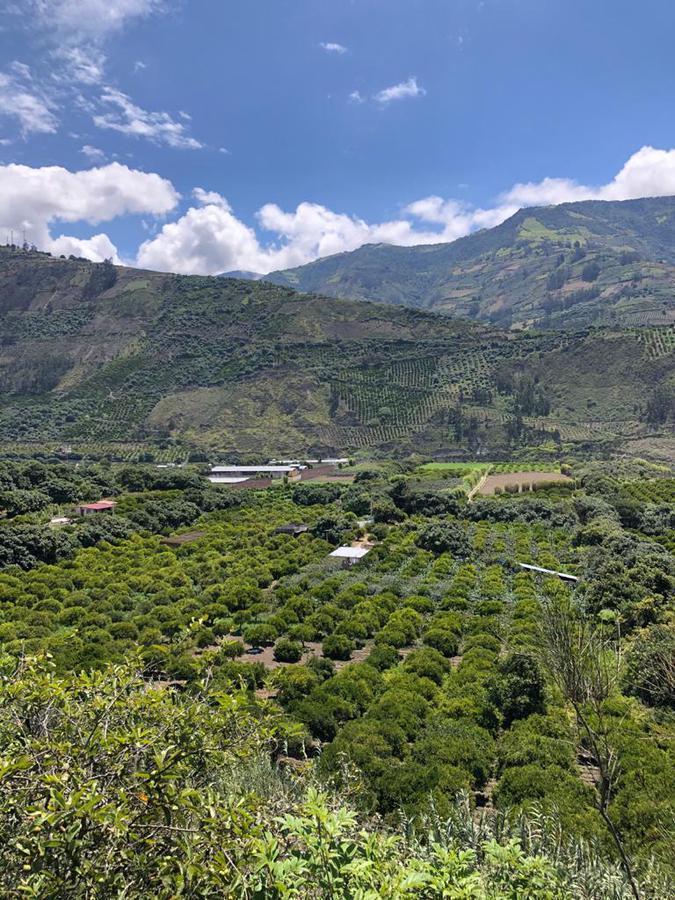Terreno en Venta Pelileo. Plano con Frutales. Hermoso!, Tungurahua — imagen 5