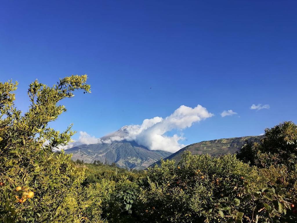Terreno en Venta Pelileo. Plano con Frutales. Hermoso!, Tungurahua — imagen 4