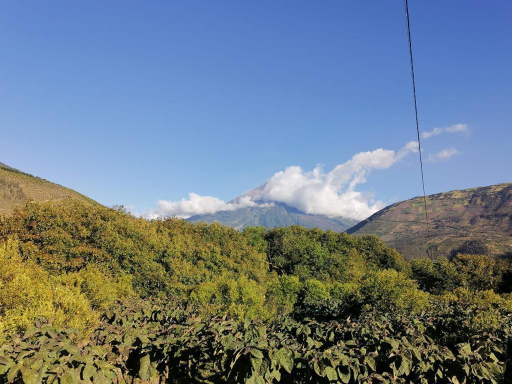 Terreno en Venta Pelileo. Plano con Frutales. Hermoso!, Tungurahua — imagen 3