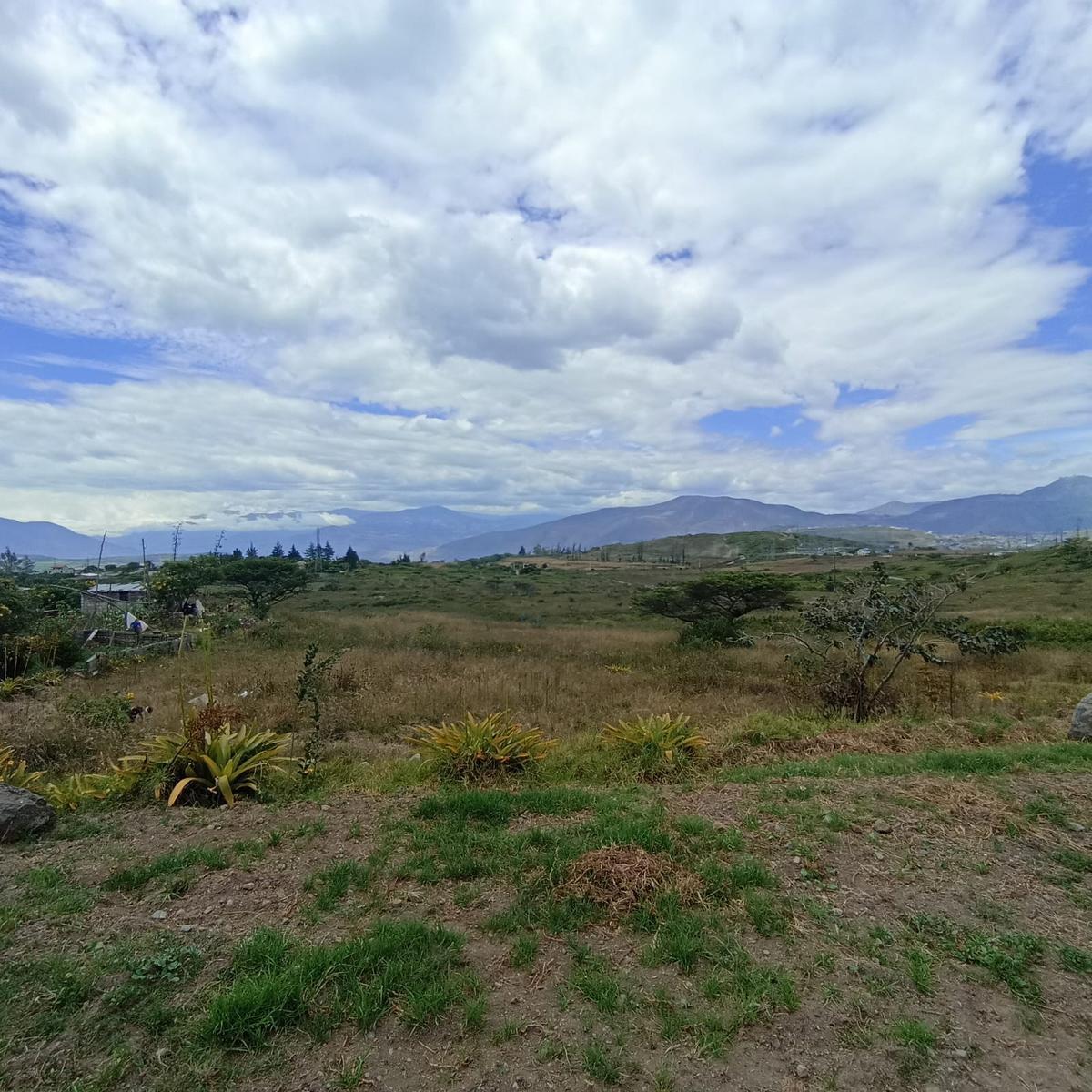 Terreno en Venta en Chaltura, Imbabura — imagen 8