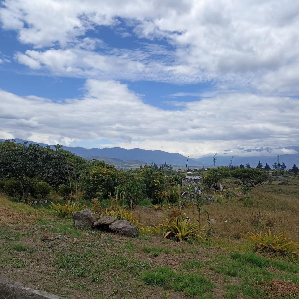Terreno en Venta en Chaltura, Imbabura — imagen 6