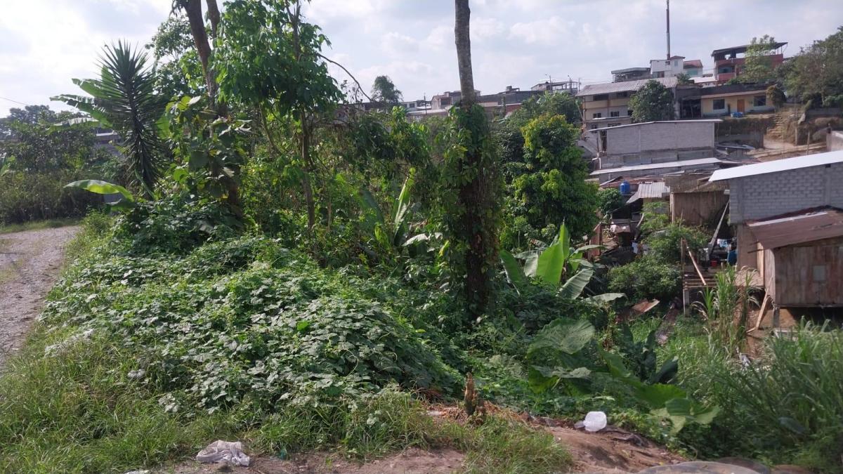 Terreno en Venta Cooperativa Alianza Carchense — imagen 9