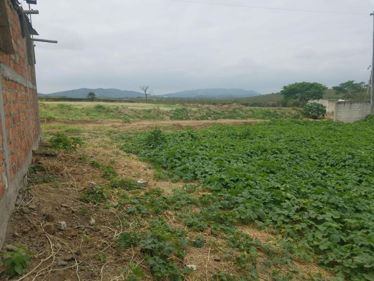 Terreno de Venta en Montecristi Sitio Toalla Chica, Manabí — imagen 10