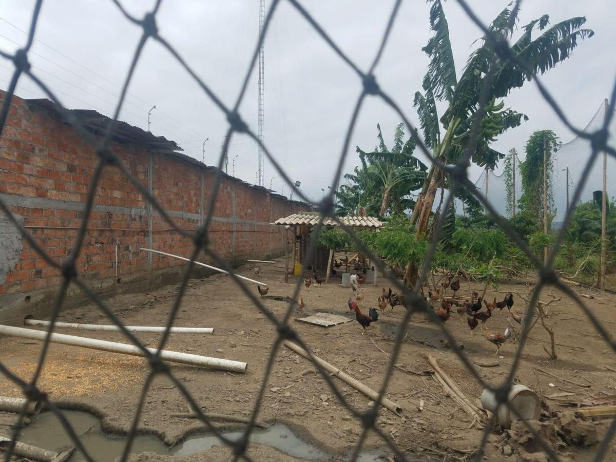 Terreno de Venta en Montecristi Sitio Toalla Chica, Manabí — imagen 7