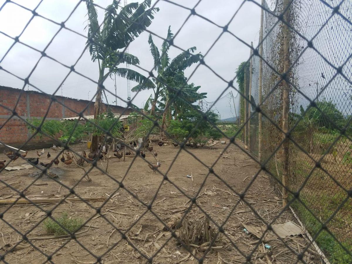Terreno de Venta en Montecristi Sitio Toalla Chica, Manabí — imagen 6