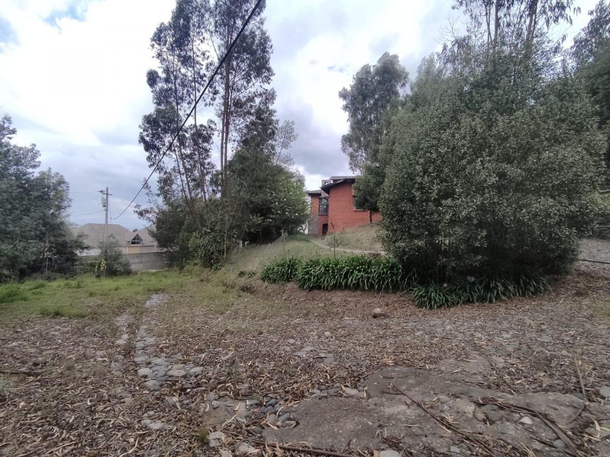 Hm/ Sector Terminal de Carcelen! Terreno en Venta de 6.360 m² en 1.150.000 Usd — imagen 6