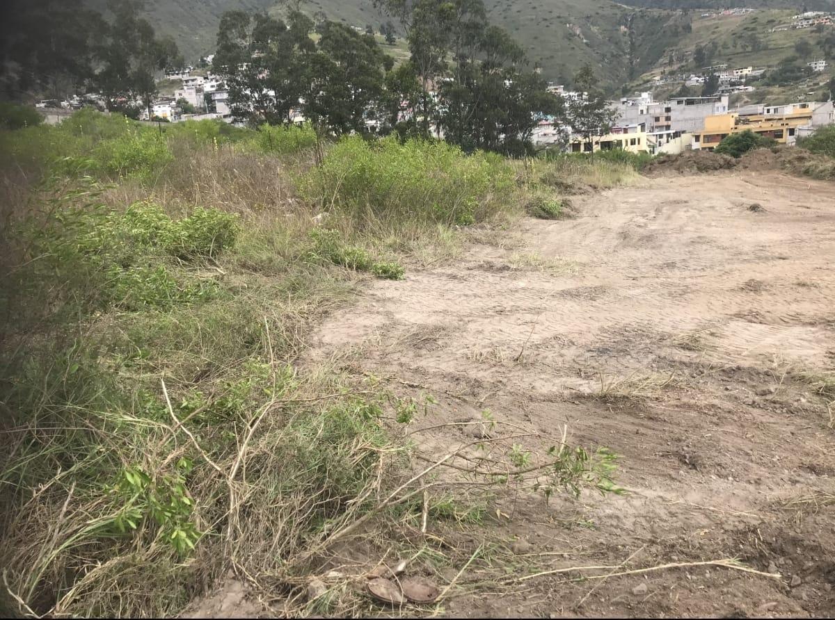 Terreno en Venta — imagen 2
