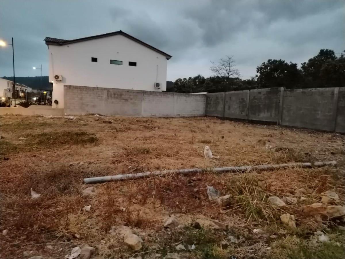 Terreno en Venta en Via a La Costa 209 m Urb Costalmar 2 Estf, Guayas — imagen 9