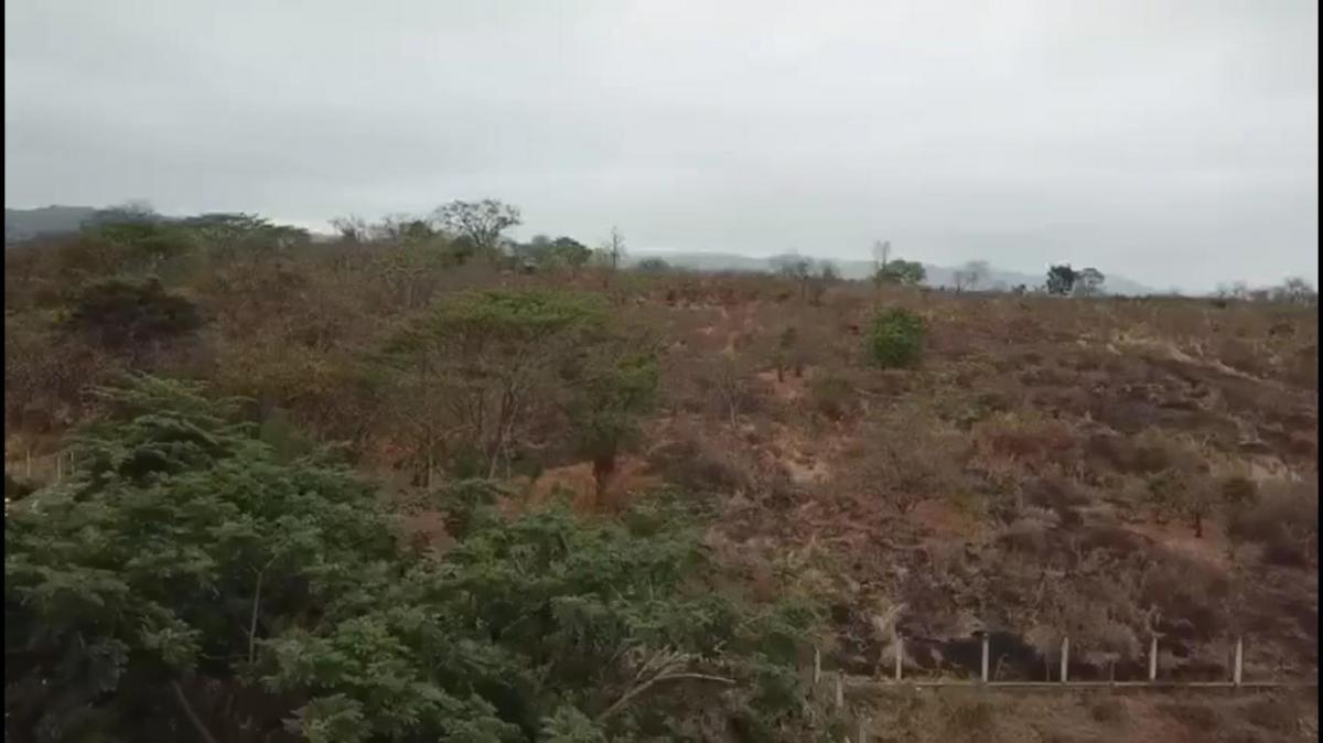 Terreno Urbano 78.870 m² en Venta Vía a La Costa Sector Lotización Tiffany, Guayas — imagen 4