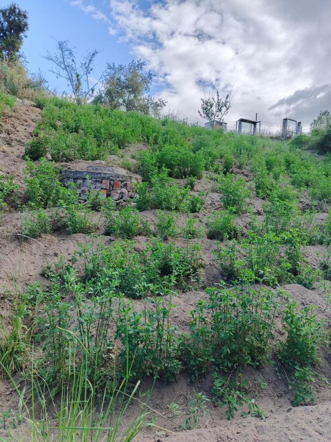 Terreno en Venta en Pinllo. Para Vivienda o Negocio. Ambato, Tungurahua — imagen 5