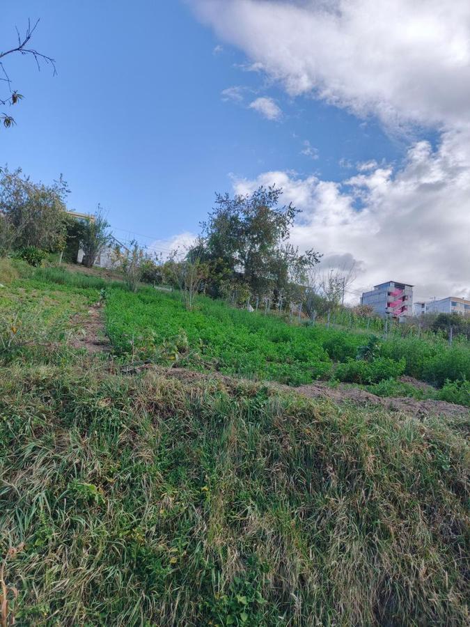 Terreno en Venta en Pinllo. Para Vivienda o Negocio. Ambato, Tungurahua — imagen 3