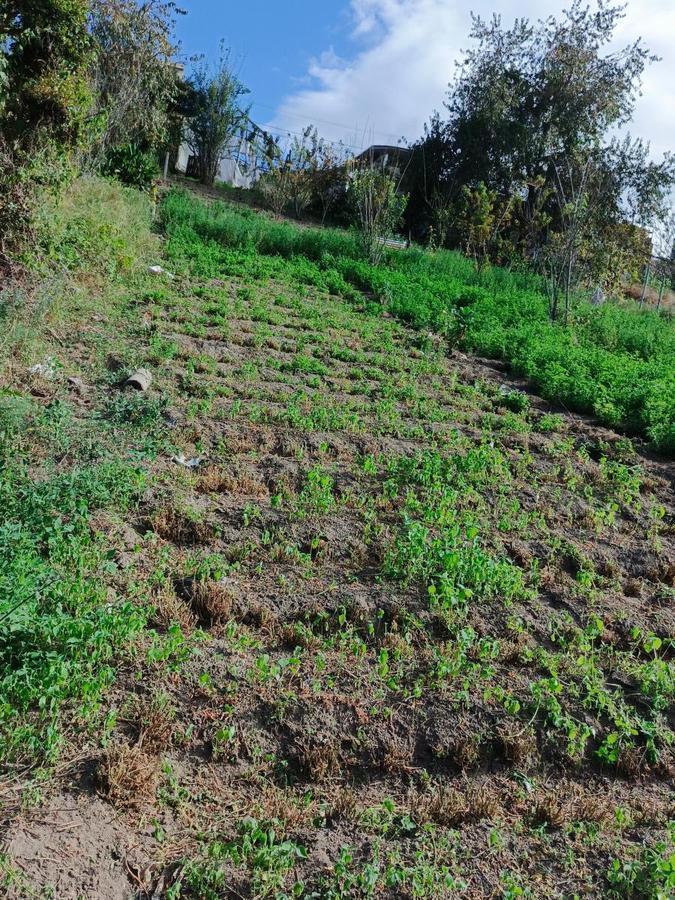 Terreno en Venta en Pinllo. Para Vivienda o Negocio. Ambato, Tungurahua — imagen 2