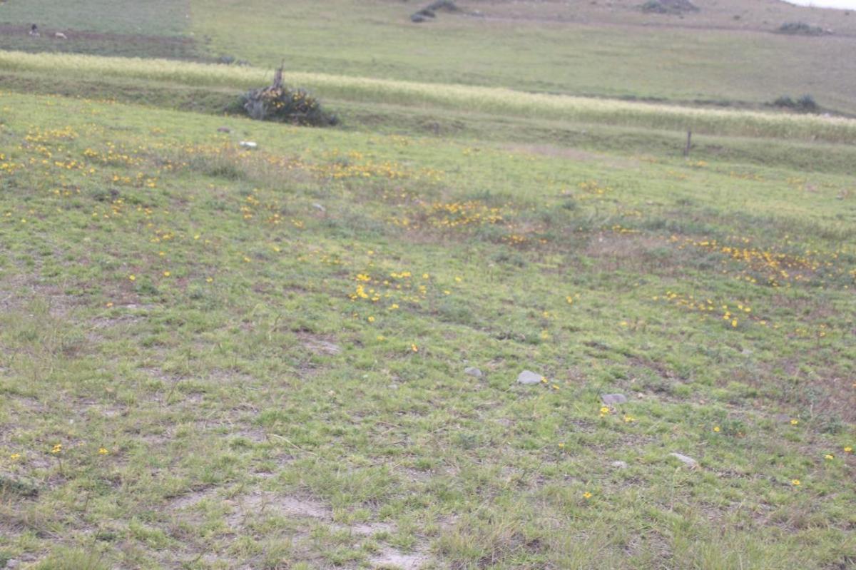Terreno en Venta en Cañar — imagen 10