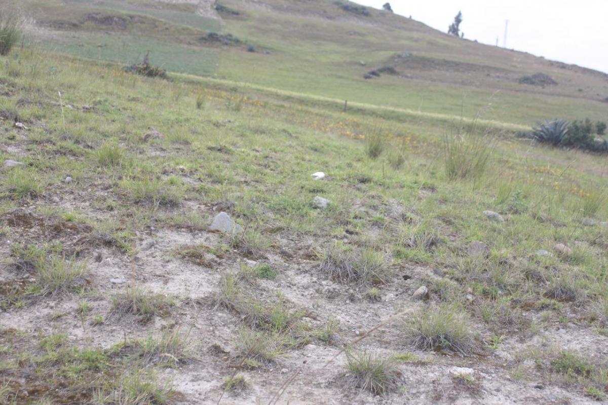 Terreno en Venta en Cañar — imagen 9