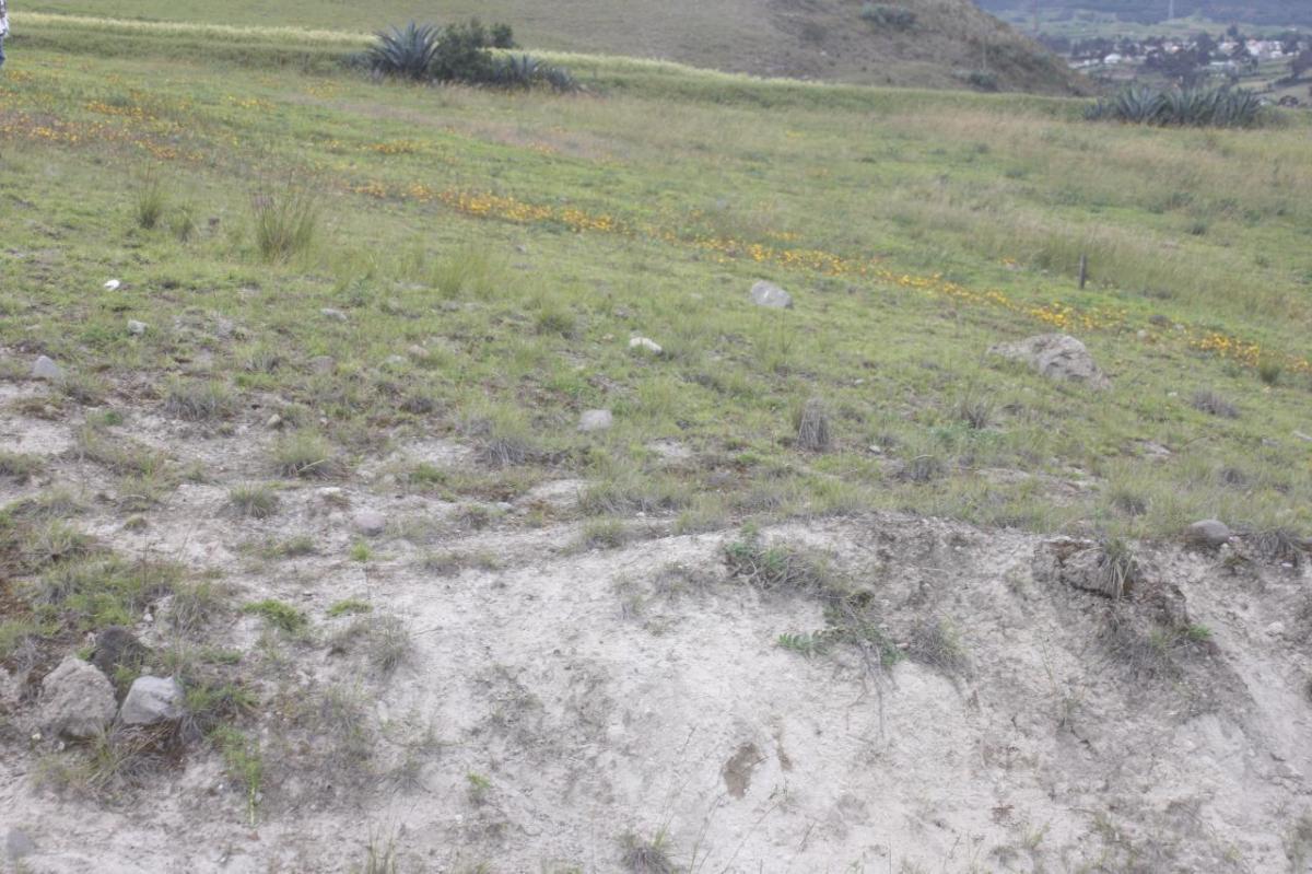 Terreno en Venta en Cañar — imagen 6
