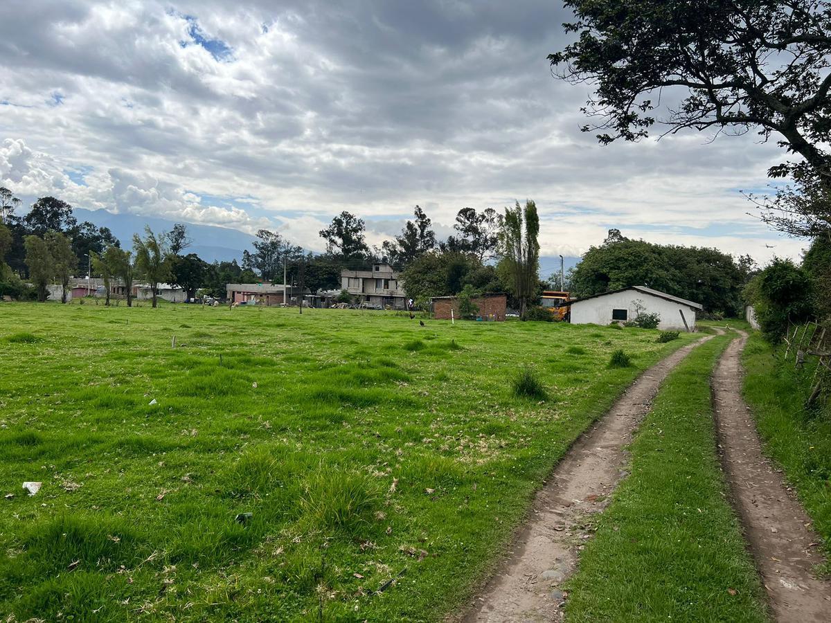 En Pifo, en Venta Terreno Ideal Para Proyecto Inmobiliario Vip 3290 m² (Mv) — imagen 9