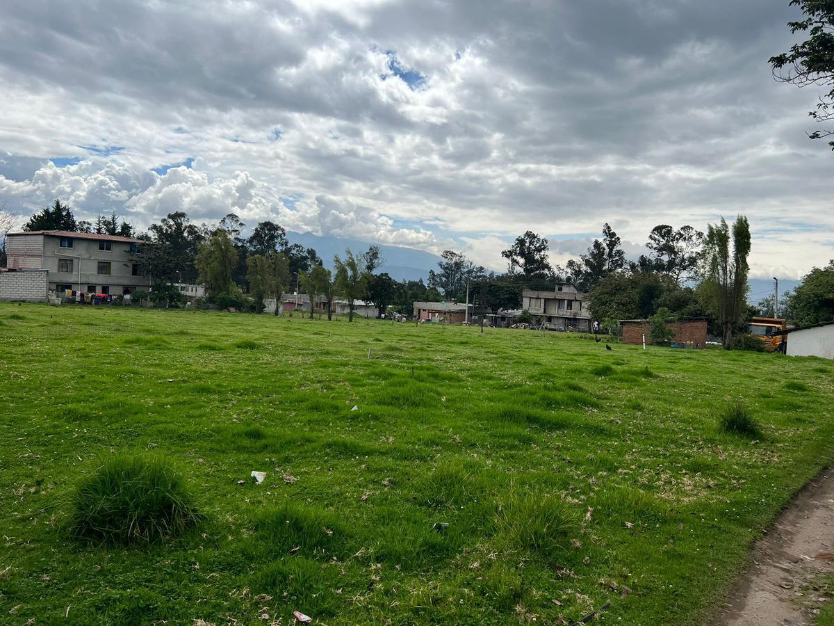 En Pifo, en Venta Terreno Ideal Para Proyecto Inmobiliario Vip 3290 m² (Mv) — imagen 7