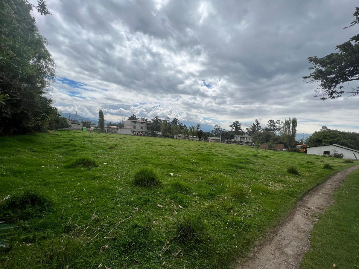 En Pifo, en Venta Terreno Ideal Para Proyecto Inmobiliario Vip 3290 m² (Mv) — imagen 6