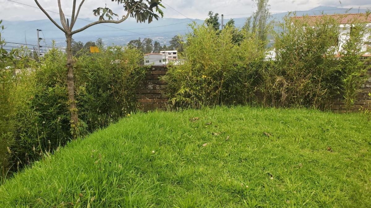 Venta de Terreno en Conocoto — imagen 9