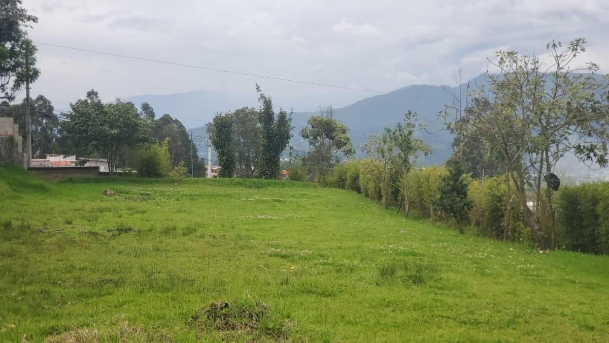 Venta de Terreno en Conocoto — imagen 8