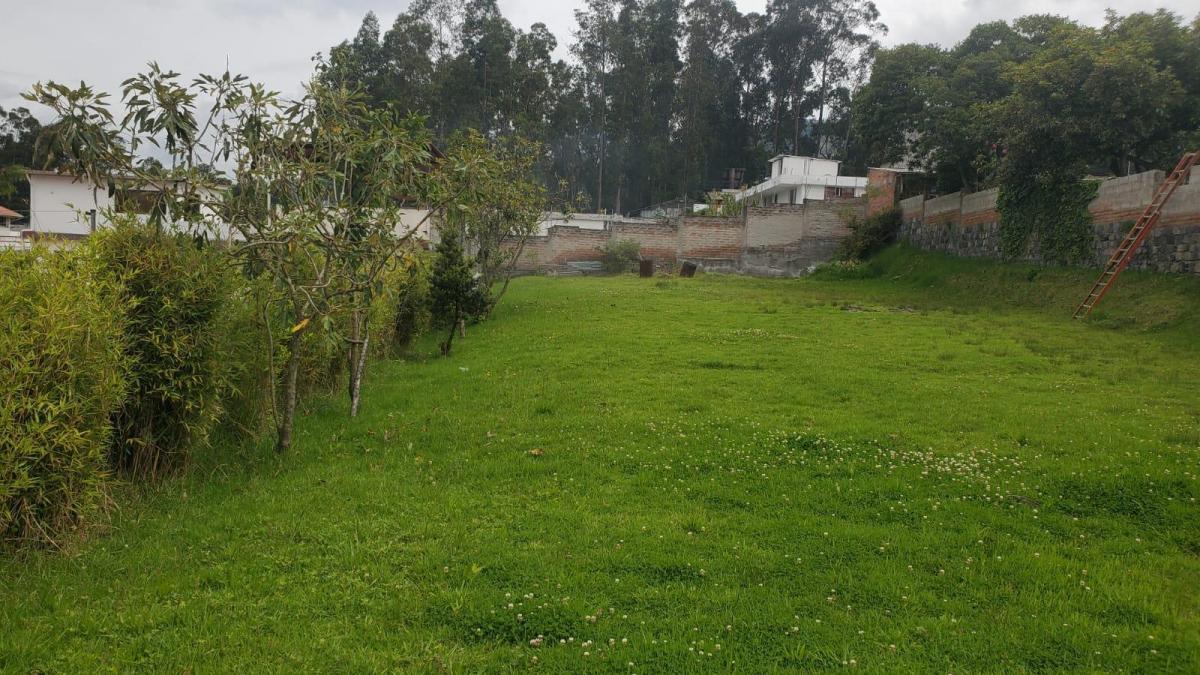 Venta de Terreno en Conocoto — imagen 7