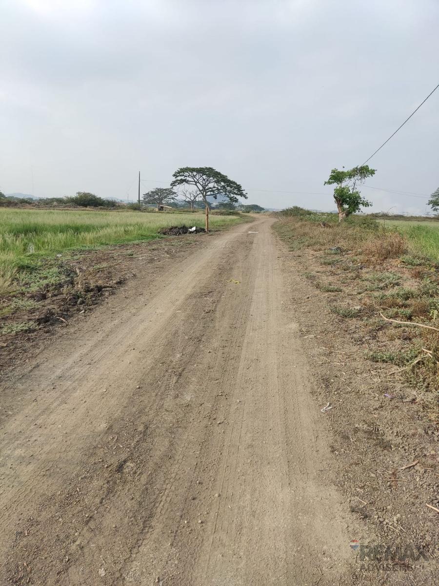 Vendo Terreno 1375 m², Hipódromo Buijo, Sector C, Guayas — imagen 6