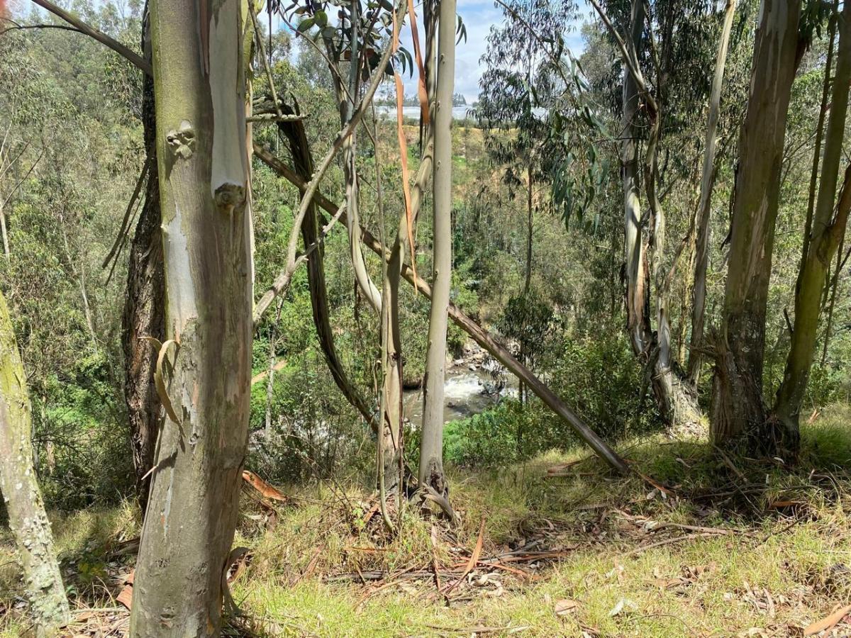 Terreno en Venta Terreno Sector Cañar Chuquipata — imagen 2