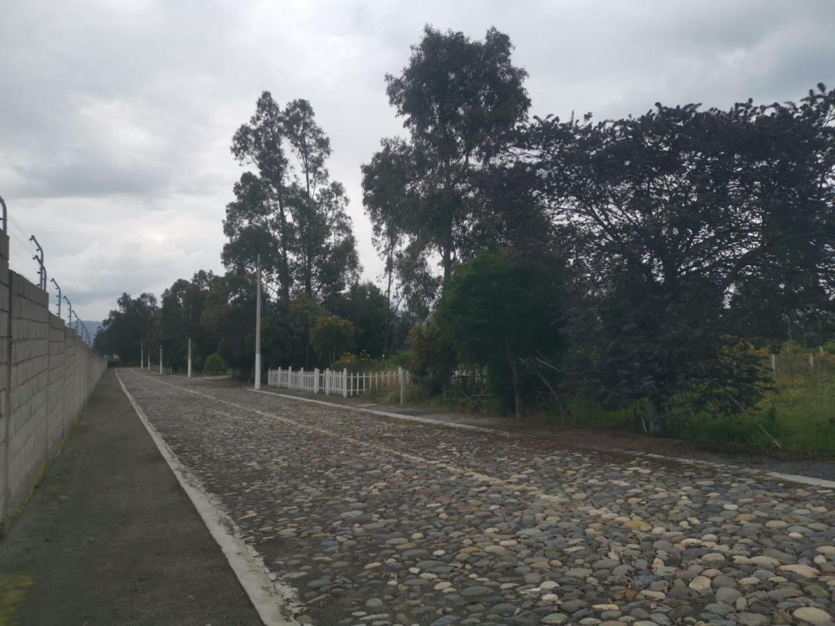 Terreno en Malchinguí — imagen 2