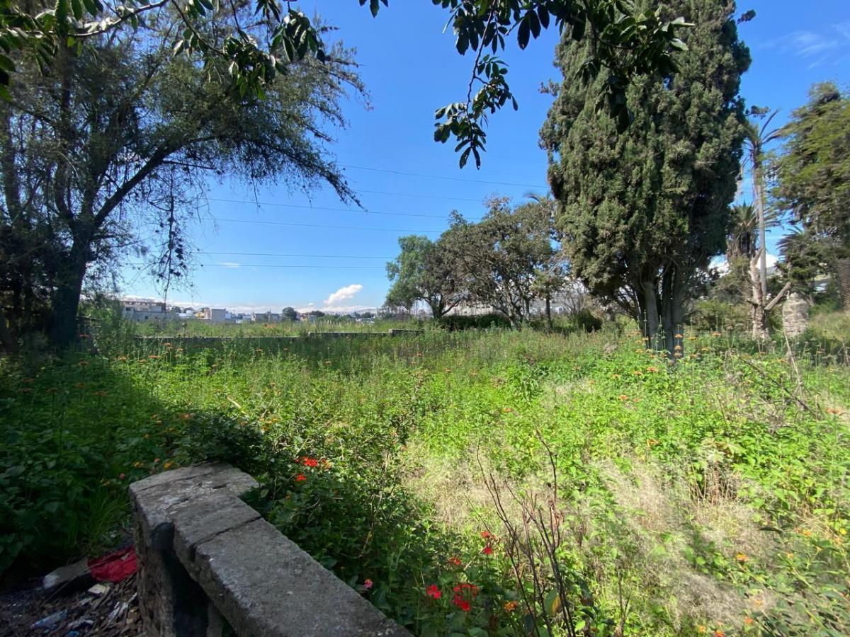 Venta Terreno Norte de Quito Sector Pomasqui — imagen 4