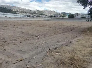 Venta Terreno Grande. Excelente Ubicacion en Llano Chico — imagen 5