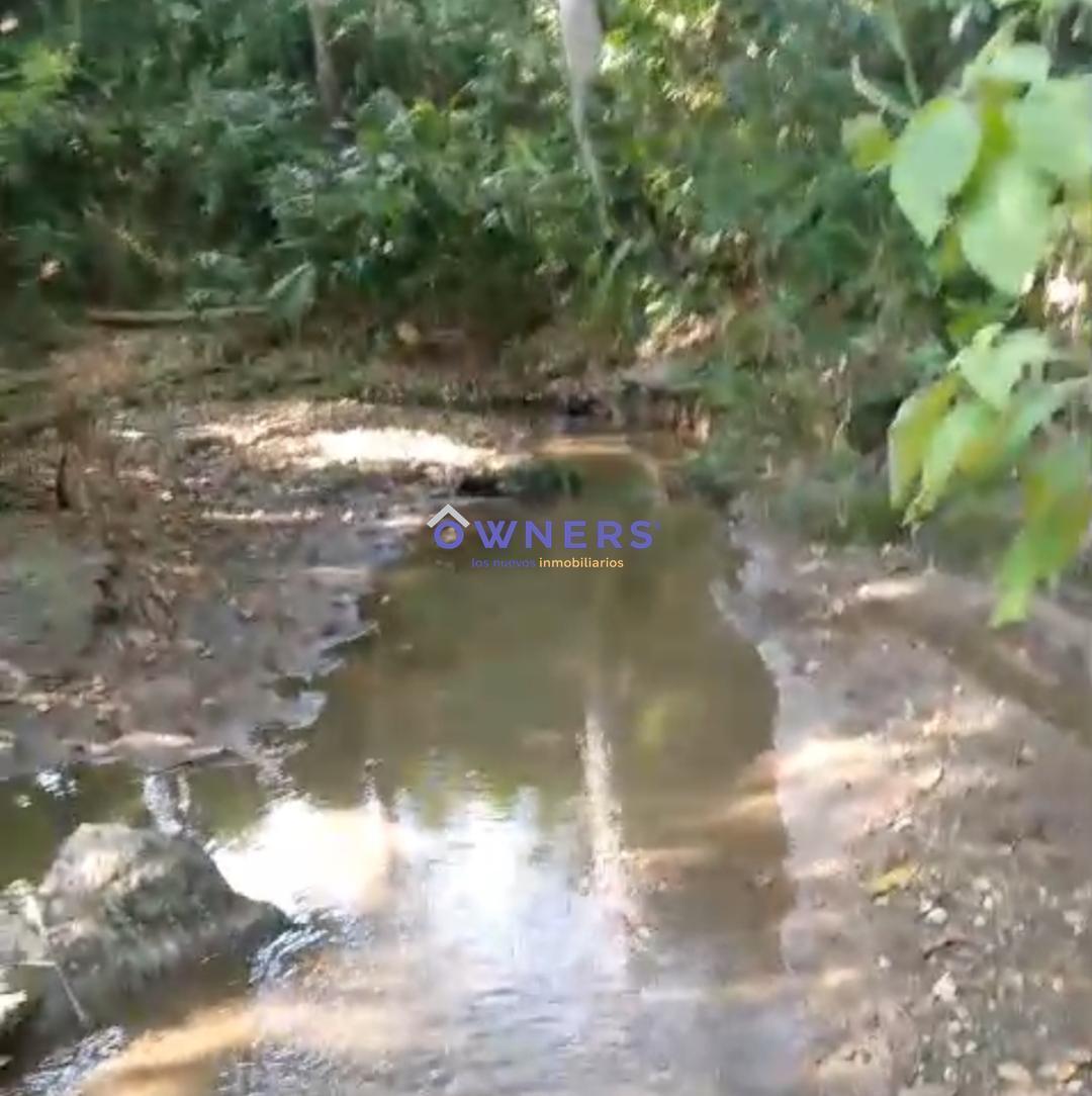 Vendo Finca de 4 Has con Riachuelo y Arboles Frutales. Pajan (Mm), Manabí — imagen 6