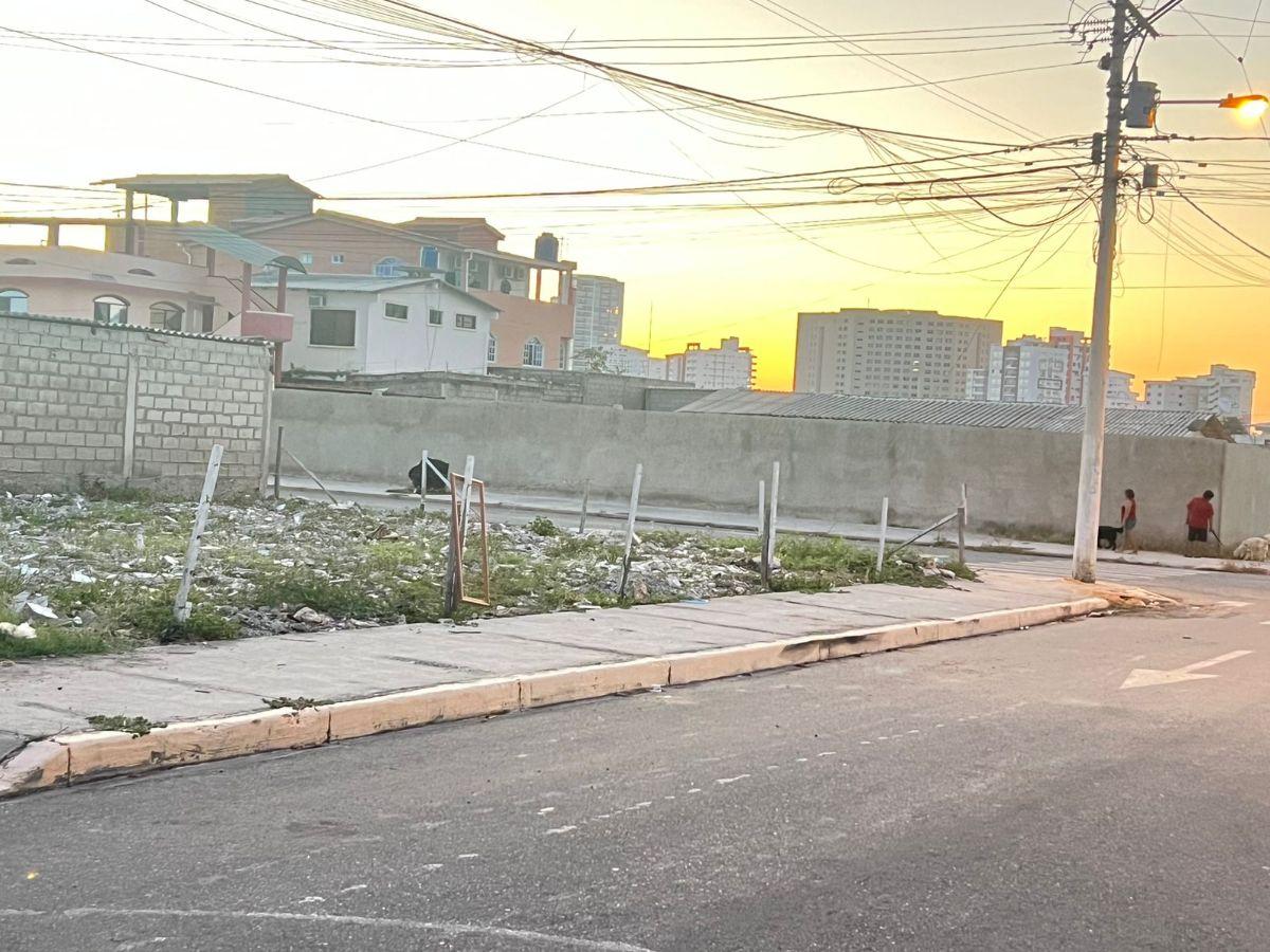 Se Vende Terreno en Salinas Sector Ciudadela Italiana — imagen 9