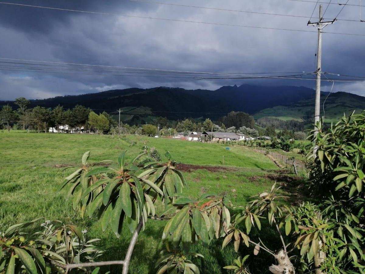 Venta de Terreno Plano Entre Tambillo y Amaguaña con Frente a La Autopista — imagen 6