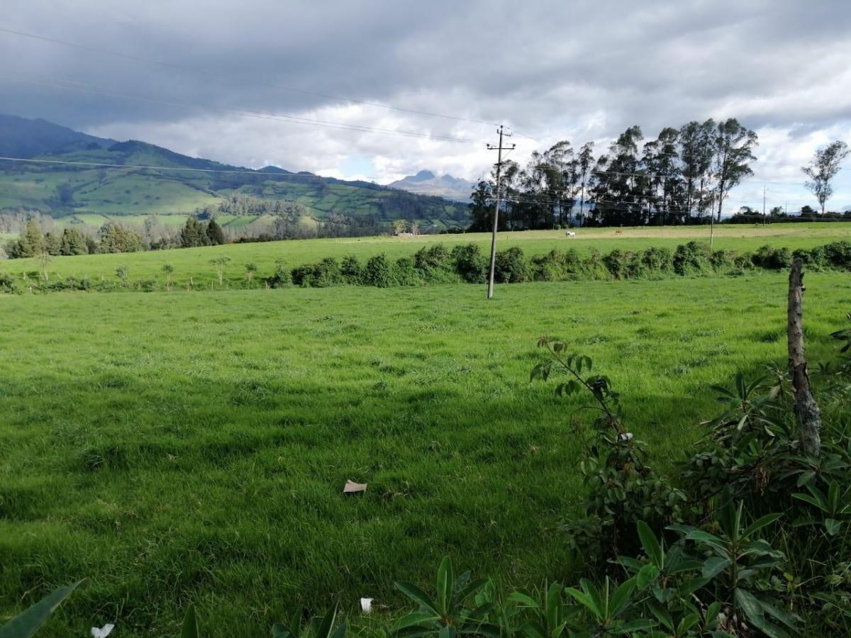 Venta de Terreno Plano Entre Tambillo y Amaguaña con Frente a La Autopista — imagen 4